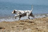 A LA MER - PLAGE - PISCINE